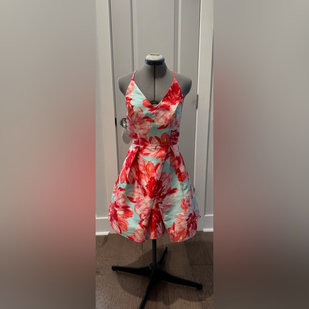 Floral Dress in Red and Blue